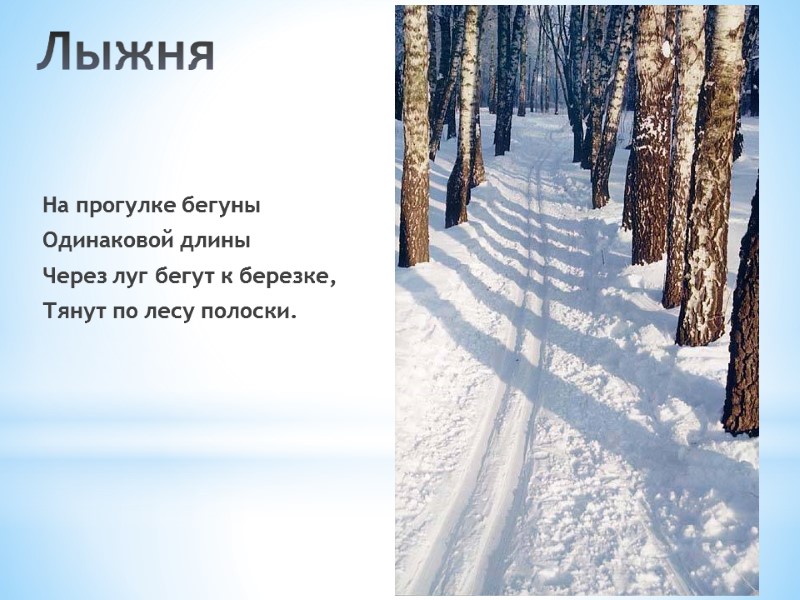 На прогулке бегуны Одинаковой длины Через луг бегут к березке, Тянут по лесу полоски.